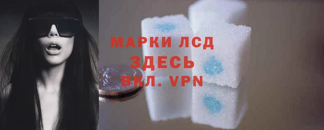 дживик Аркадак