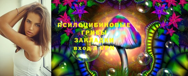мяу мяу мука Алексин